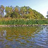 37Inf2011-10-29 13.26.47 : Lake Bastrop South Shore